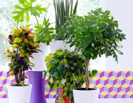 groen5