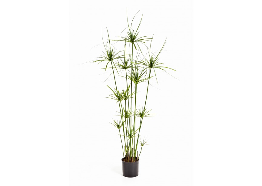 PAPYRUS TREE DE LUXE 140CM W H140