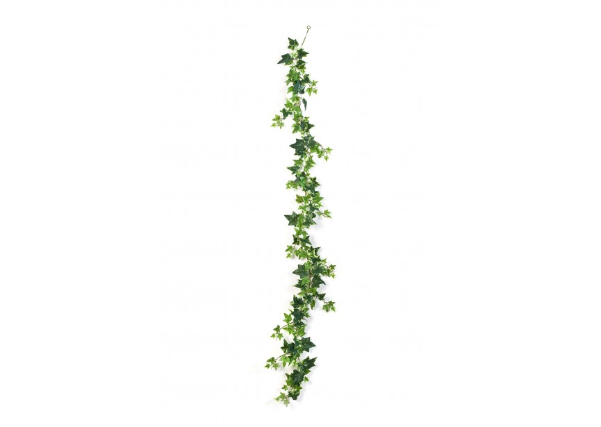 VARIEGATED IVY GARLAND H180