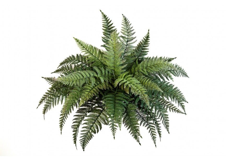 FERN BUSH X 35 - PLASTIC H70