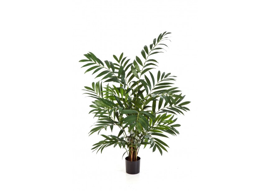 PARLOUR PALM 110 CM W/POT H110