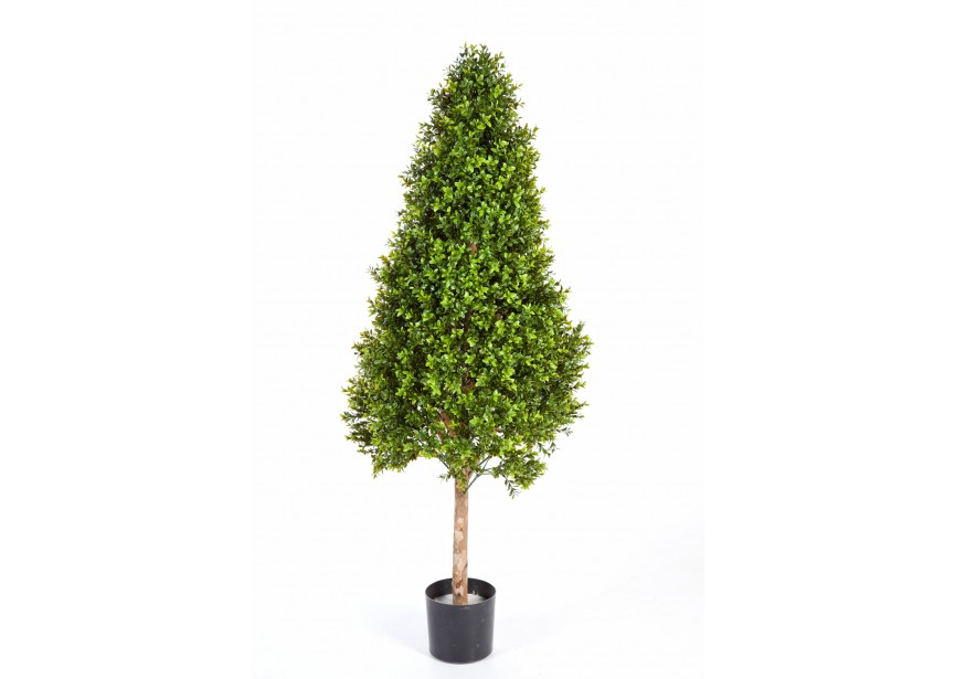 4 BOXWOOD TOWER TREE H105