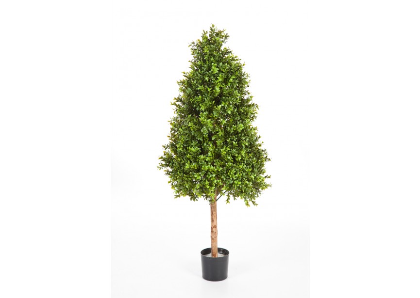 5 BOXWOOD TOWER TREE H140