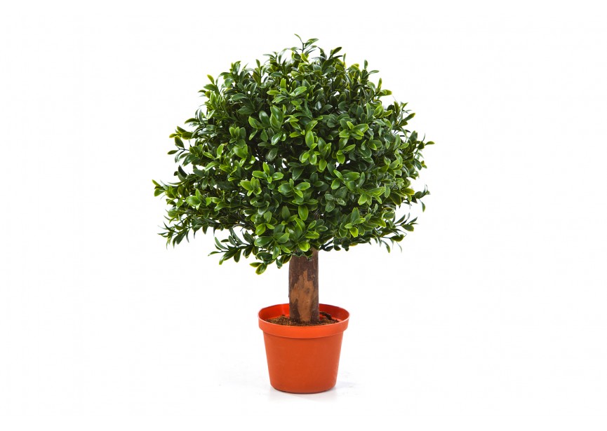 25 CM BOXWOOD BALL H35