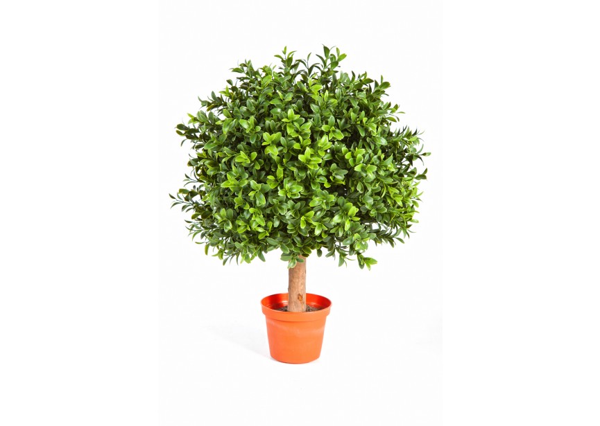 30 CM BOXWOOD BALL H45