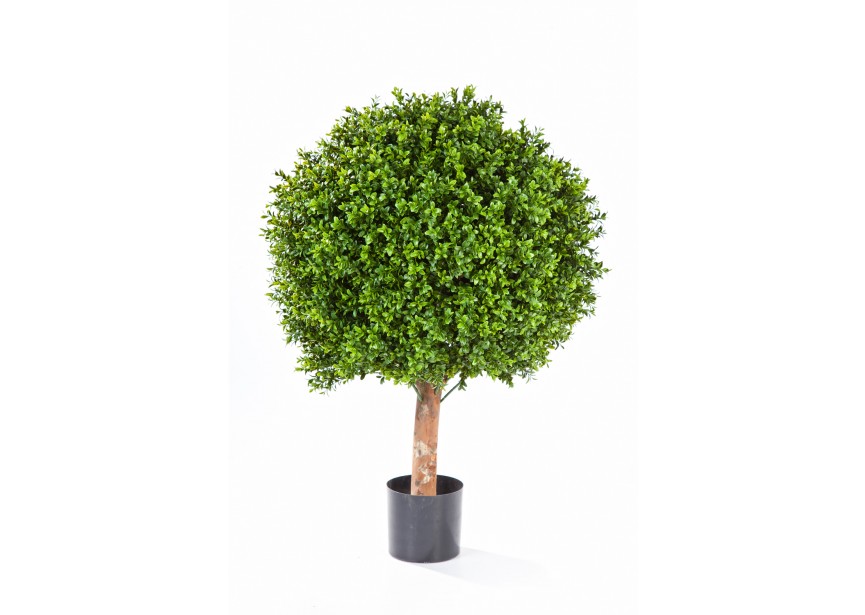 80 CM BOXWOOD BALL H80