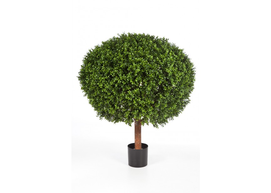 100 CM BOXWOOD BALL H100