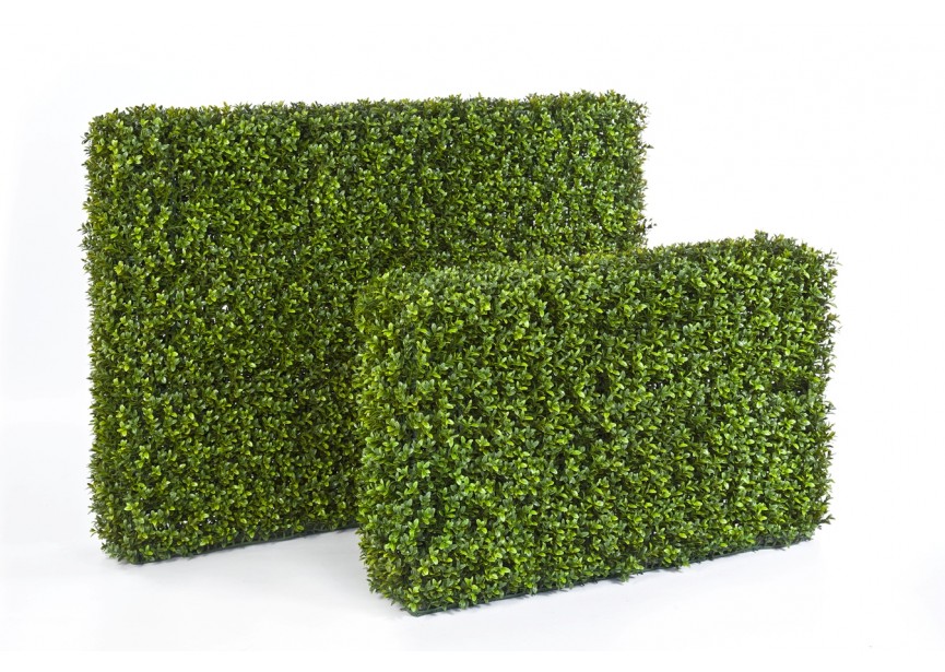 BOXWOOD HEDGE 55X95 CM H55