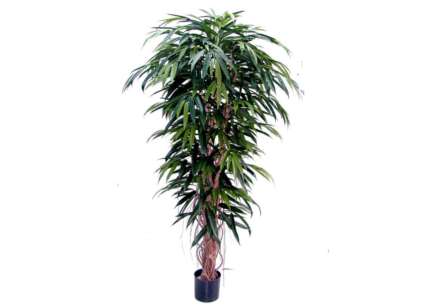 6 DELUXE LONGIFOLIA LIANA H180