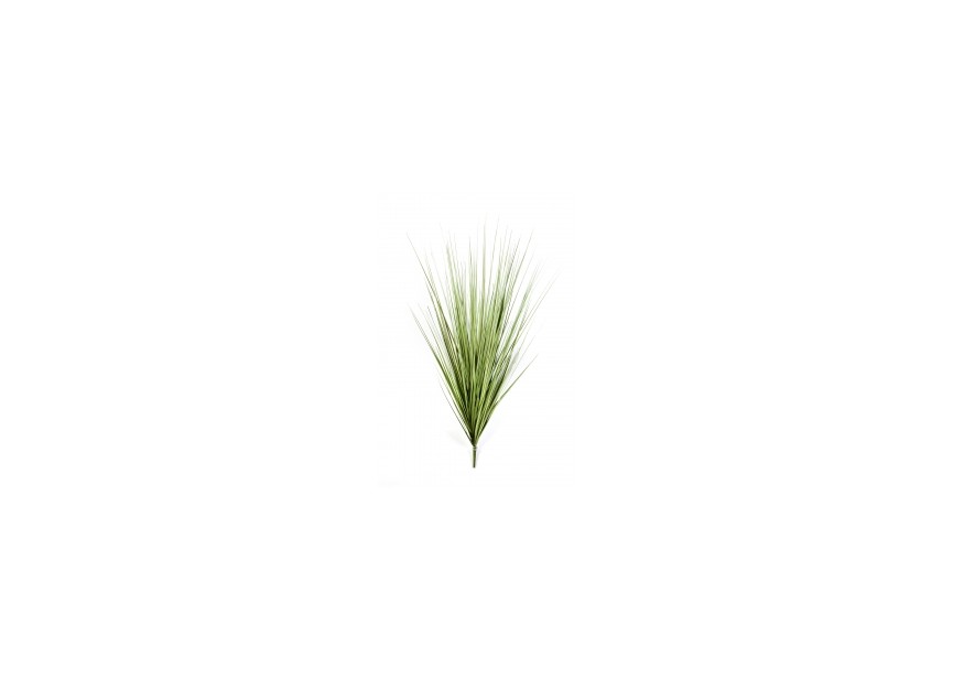 VAR, CAREX GRASS PICK 40 CM H40