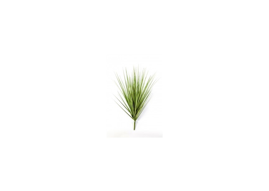 VAR, CAREX GRASS PICK 60 CM H60