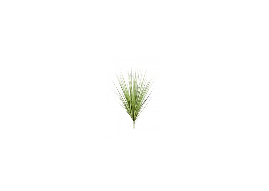 VAR, CAREX GRASS PICK 80 CM H80