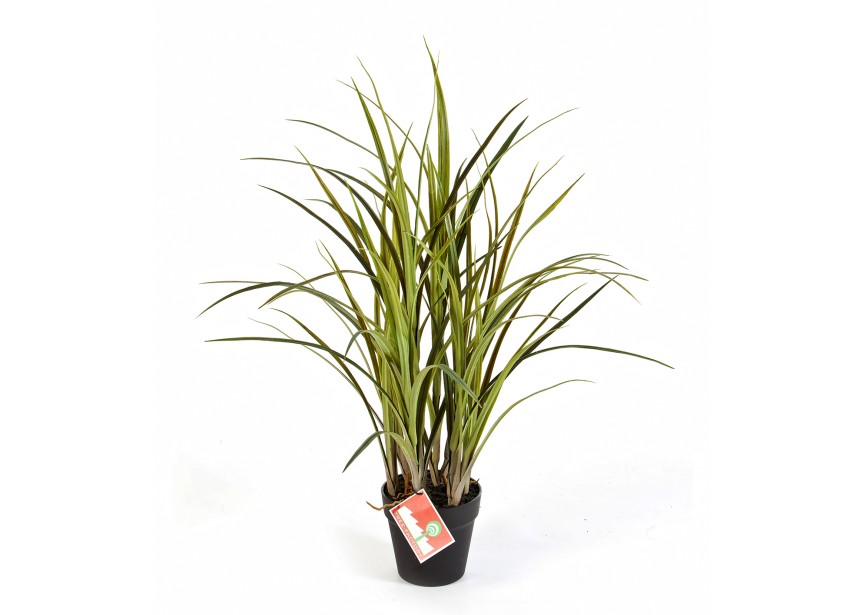 NATURAL GRASS 75 CM W/POT H75