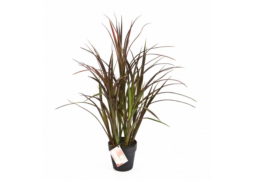 NATURAL RED GRASS 75 CM W/PO H75