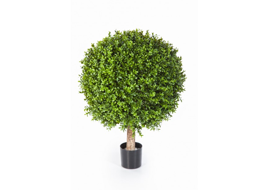 70 CM BOXWOOD BALL H70