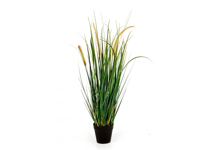 60 CM FOXTAIL WILD GRASS W/F H