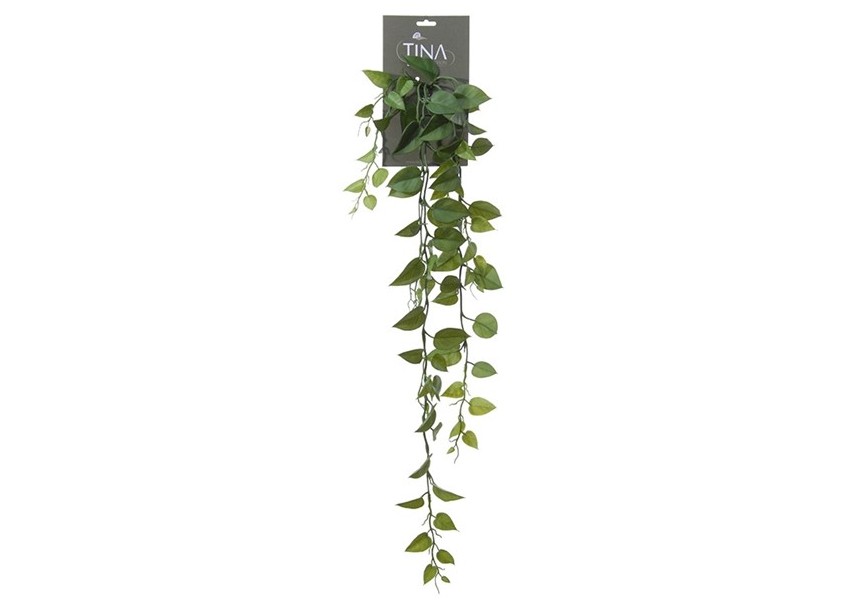 PHILODENDRON HANGER GREEN 185CM