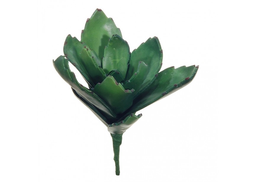 KALANCHOE LEAF H18CM GREEN