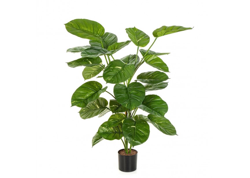 POTHOS PLANT GIANT LEAF 115cm