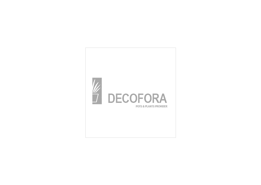 HYDRO ARRANG. DRACAENA WHITE JEWEL 13/12 H30/40