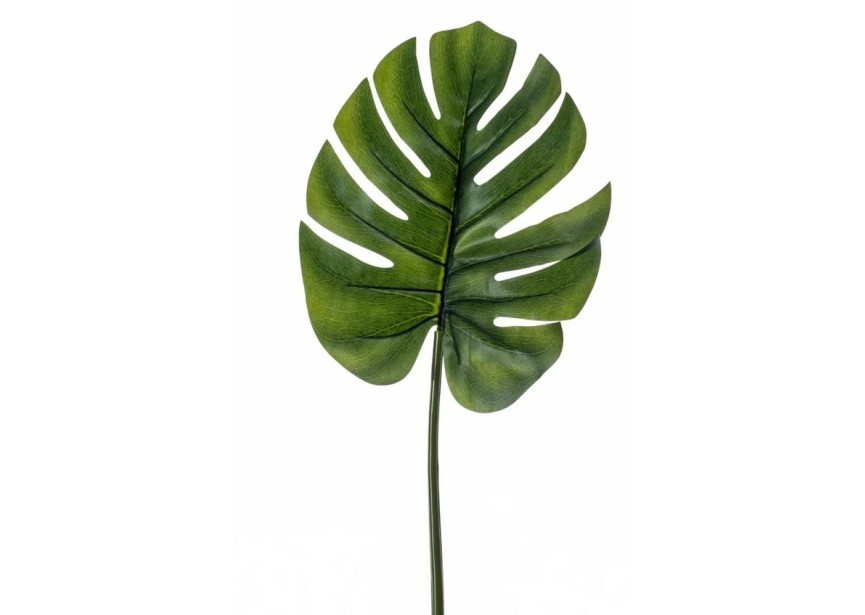 MONSTERA LEAF M 73CM