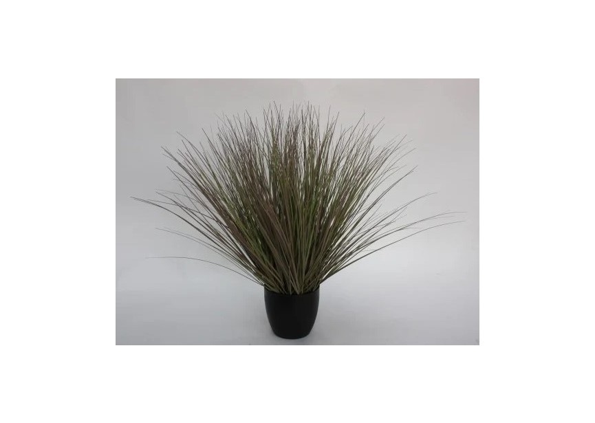 SMALL GRASS WITH PLASTIC POT 69CM