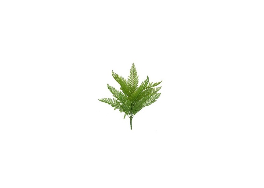 LADY FERN GREEN 32CM