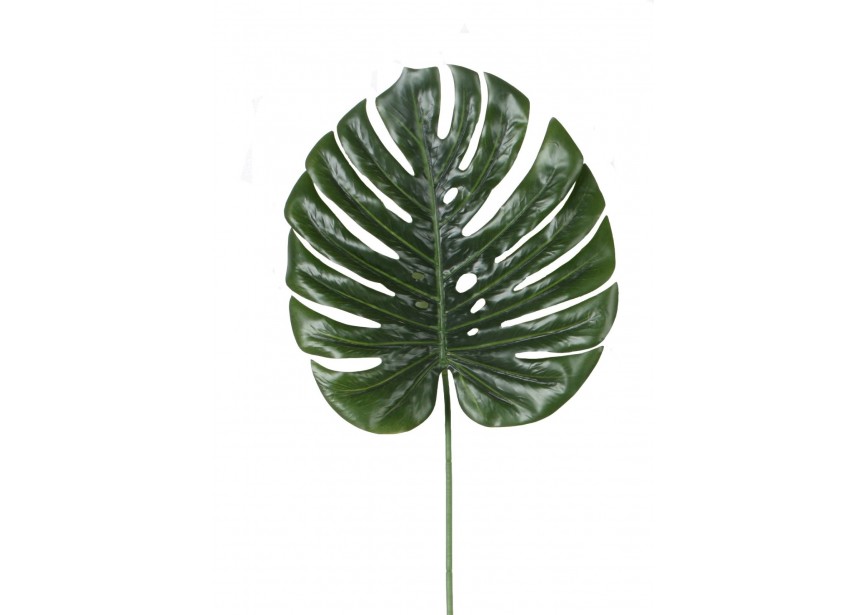 MONSTERA DELICIOSA LEAF 36X33CM