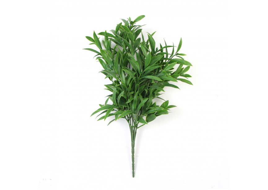 DIANTHUS GREEN 30CM